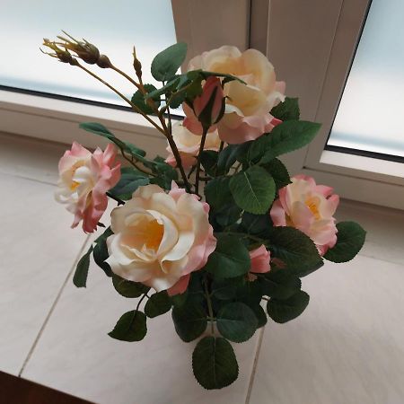 Vintage Apartment Köln Ngoại thất bức ảnh